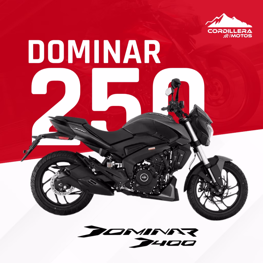 Dominar 250